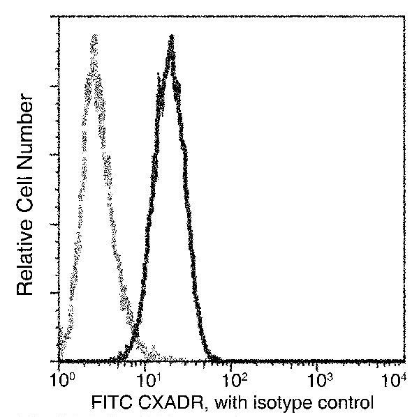 CAR Antibody in Flow Cytometry (Flow)