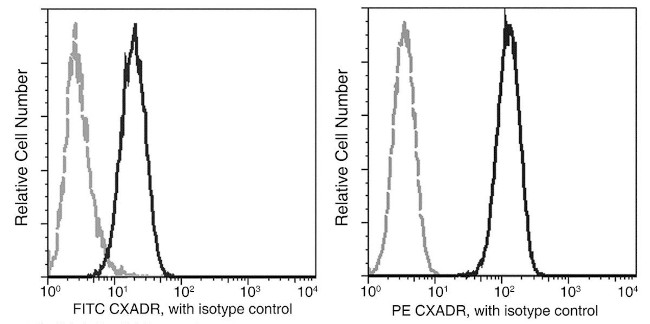 CAR Antibody in Flow Cytometry (Flow)