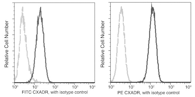 CAR Antibody in Flow Cytometry (Flow)