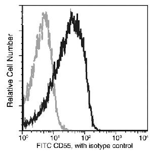 CD55 Antibody in Flow Cytometry (Flow)