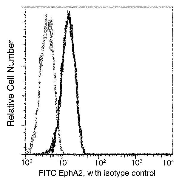 EphA2 Antibody in Flow Cytometry (Flow)