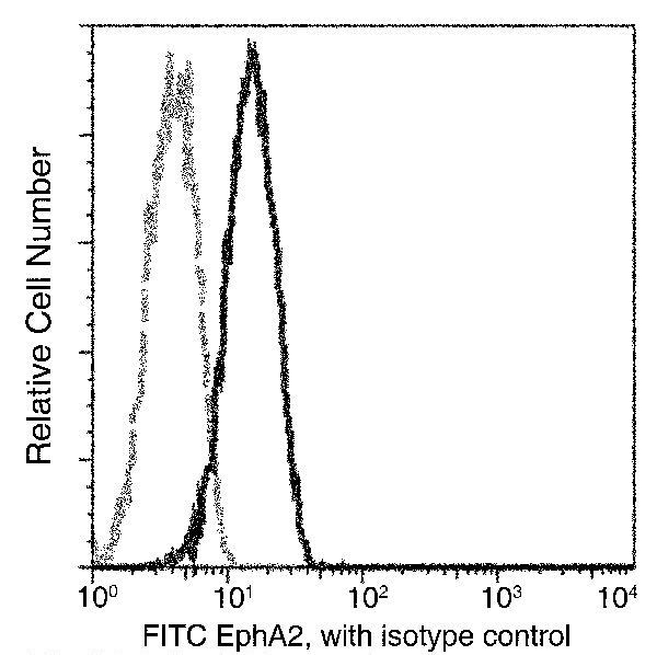 EphA2 Antibody in Flow Cytometry (Flow)