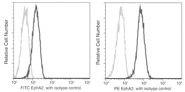 EphA2 Antibody in Flow Cytometry (Flow)