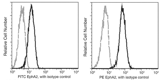 EphA2 Antibody in Flow Cytometry (Flow)