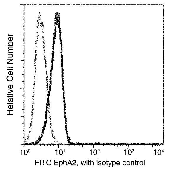 EphA2 Antibody in Flow Cytometry (Flow)