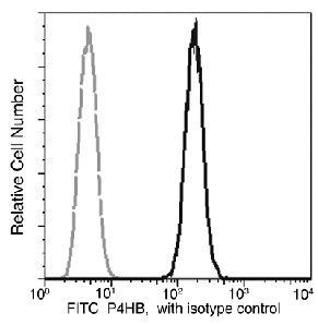 PDI Antibody in Flow Cytometry (Flow)