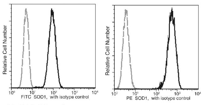 SOD1 Antibody in Flow Cytometry (Flow)