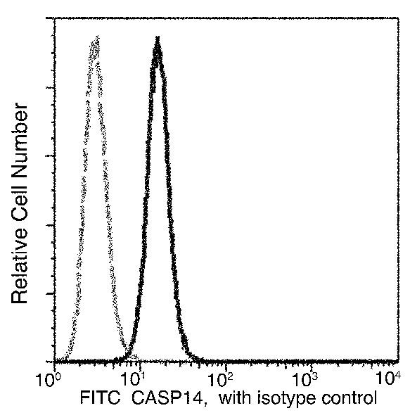 Caspase 14 Antibody in Flow Cytometry (Flow)