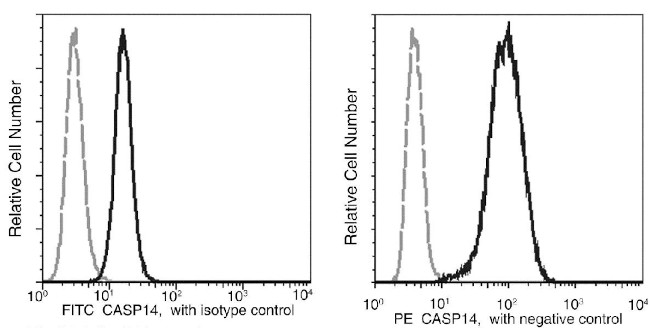 Caspase 14 Antibody in Flow Cytometry (Flow)