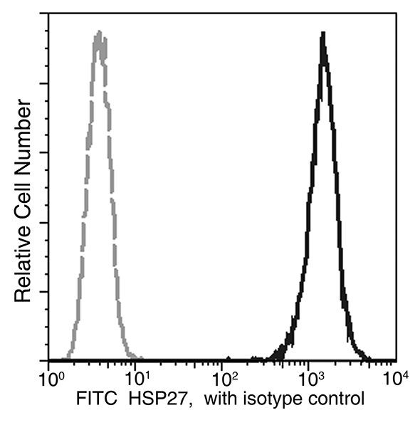 HSP27 Antibody in Flow Cytometry (Flow)