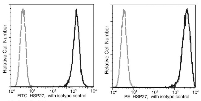 HSP27 Antibody in Flow Cytometry (Flow)