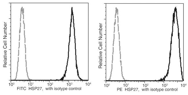 HSP27 Antibody in Flow Cytometry (Flow)