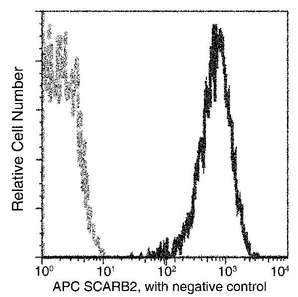 LIMP2 Antibody in Flow Cytometry (Flow)