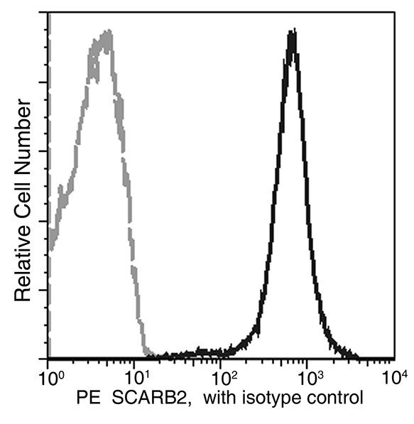 LIMP2 Antibody in Flow Cytometry (Flow)