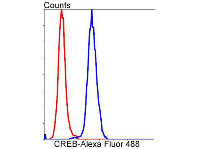 CREB Antibody in Flow Cytometry (Flow)