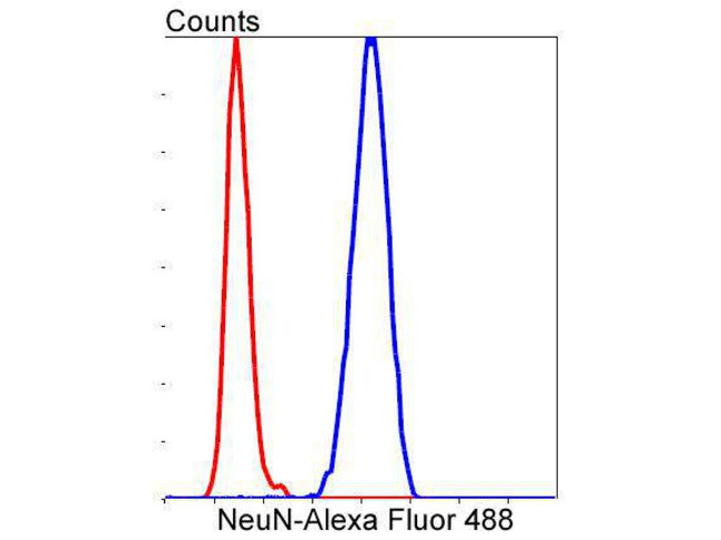 NeuN Antibody in Flow Cytometry (Flow)