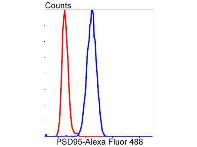 PSD-95 Antibody in Flow Cytometry (Flow)