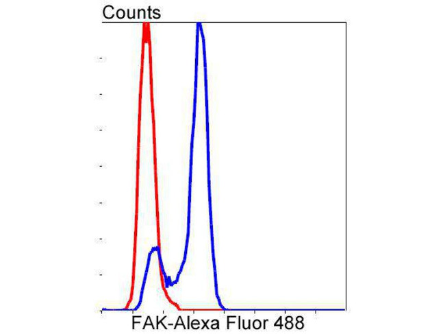 FAK Antibody in Flow Cytometry (Flow)