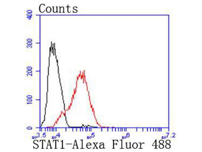 STAT1 Antibody in Flow Cytometry (Flow)