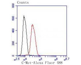 c-Met Antibody in Flow Cytometry (Flow)