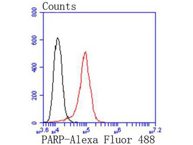 PARP1 Antibody in Flow Cytometry (Flow)