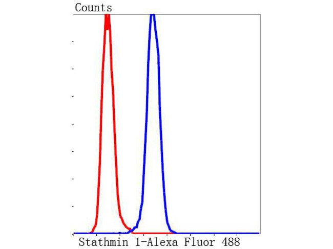 Stathmin 1 Antibody in Flow Cytometry (Flow)