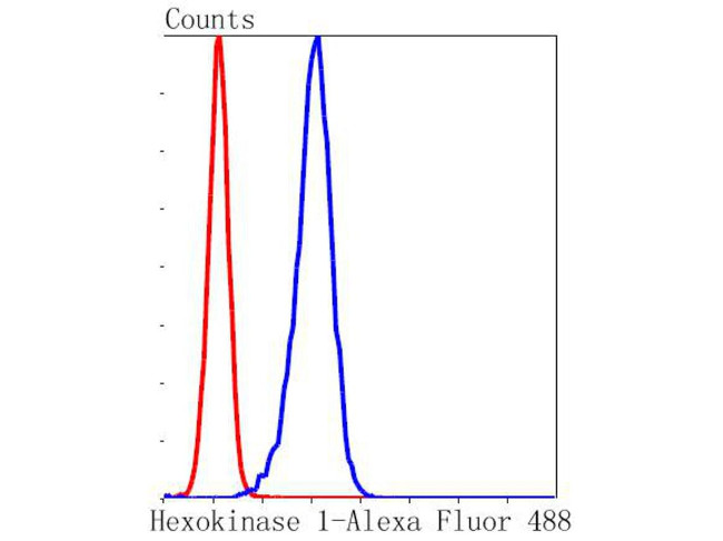 HK1 Antibody in Flow Cytometry (Flow)