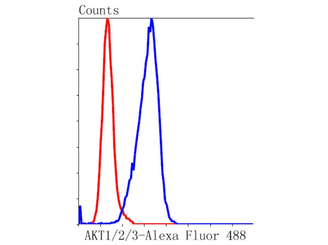 AKT Pan Antibody in Flow Cytometry (Flow)