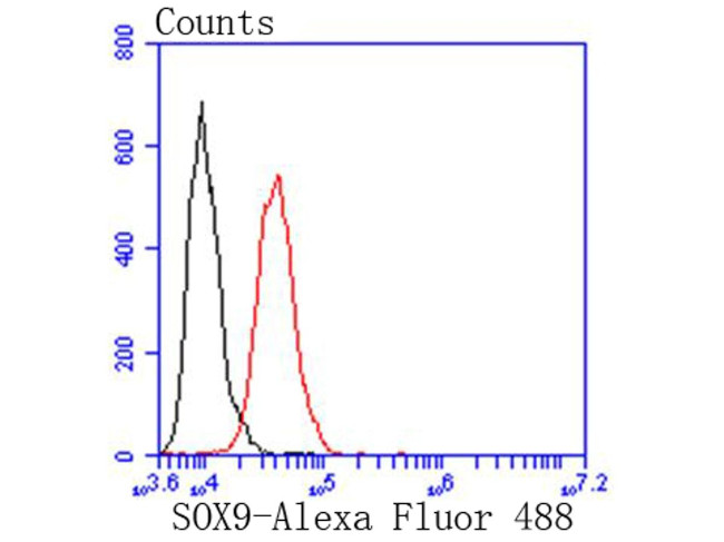 SOX9 Antibody in Flow Cytometry (Flow)