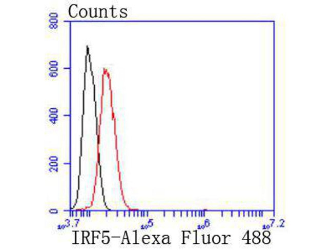 IRF5 Antibody in Flow Cytometry (Flow)