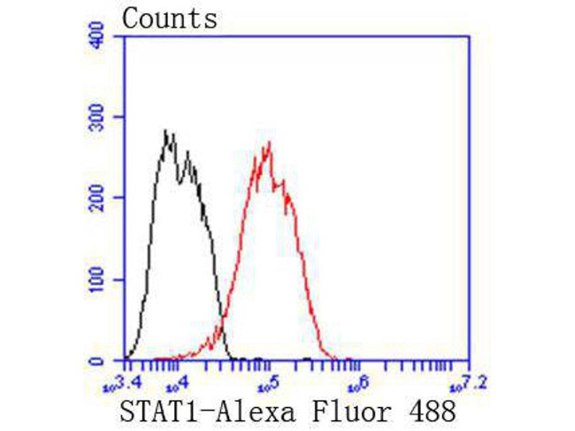 STAT1 Antibody in Flow Cytometry (Flow)