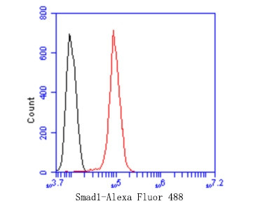 SMAD1 Antibody in Flow Cytometry (Flow)