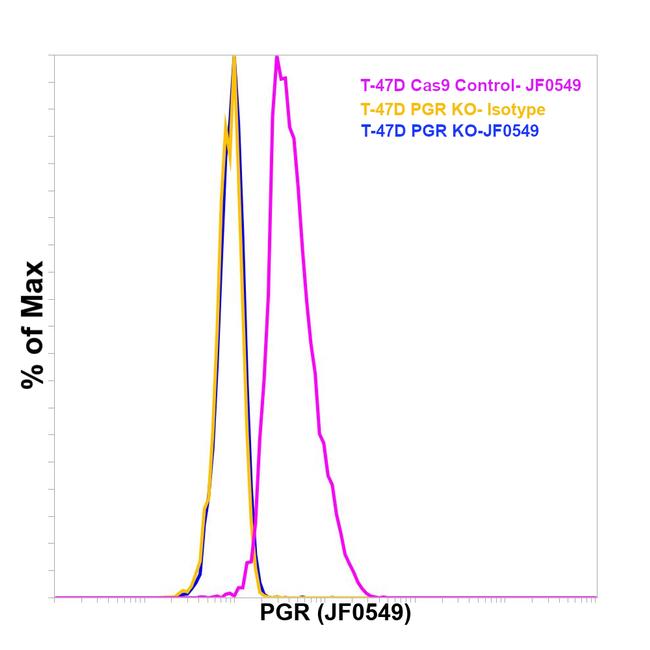 Progesterone Receptor Antibody