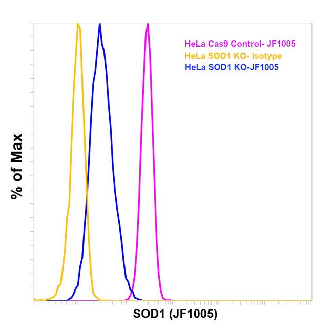 SOD1 Antibody