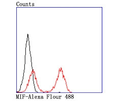 MIF Antibody in Flow Cytometry (Flow)