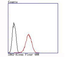 IDH2 Antibody in Flow Cytometry (Flow)