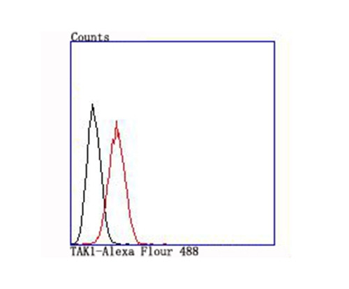 TAK1 Antibody in Flow Cytometry (Flow)