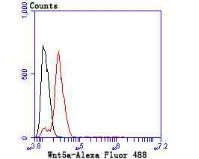 WNT5A Antibody in Flow Cytometry (Flow)