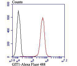 GIT1 Antibody in Flow Cytometry (Flow)