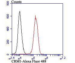 CRM1 Antibody in Flow Cytometry (Flow)