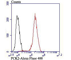 PCK2 Antibody in Flow Cytometry (Flow)