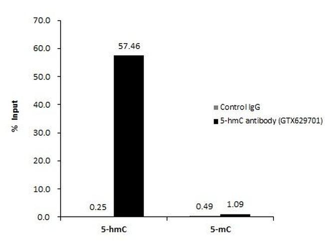 5-Hydroxymethylcytosine (5-hmC) Antibody in Methylated DNA Immunoprecipitation (MeDIP)