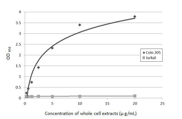 CA19-9 Antibody in ELISA (ELISA)