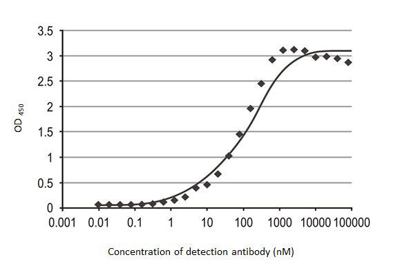 SARS/SARS-CoV-2 Nucleocapsid Antibody in ELISA (ELISA)