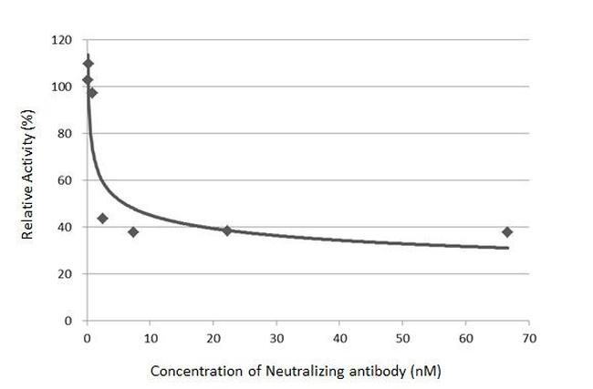 SARS-CoV-2 Spike Protein (RBD) Antibody