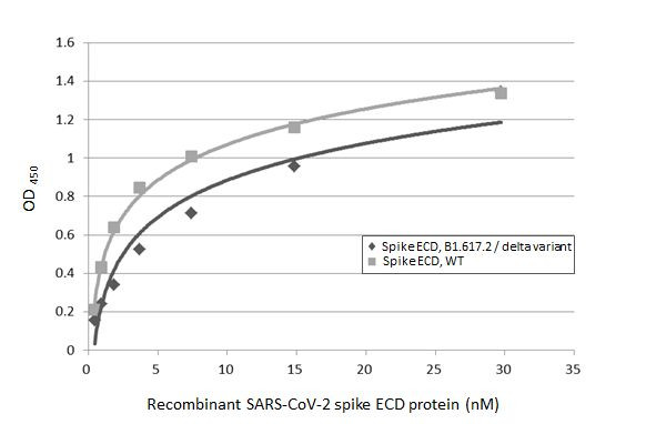 SARS-CoV-2 Spike Protein (RBD) Antibody in ELISA (ELISA)