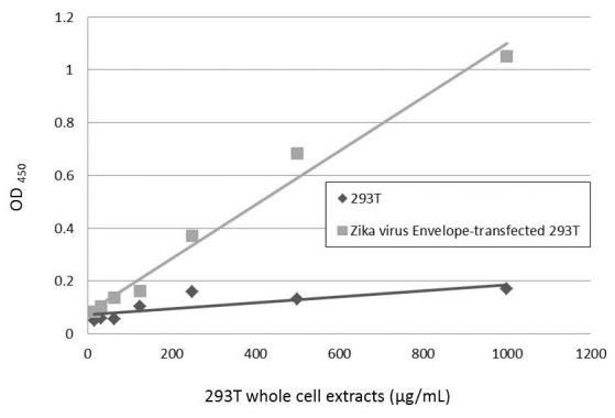 Zika Virus Envelope Protein Antibody in ELISA (ELISA)