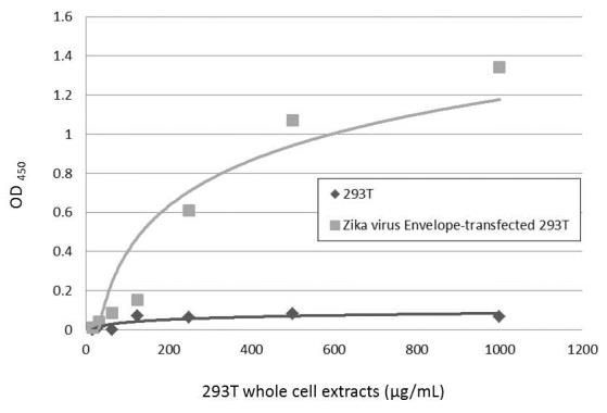 Zika Virus Envelope Protein Antibody in ELISA (ELISA)