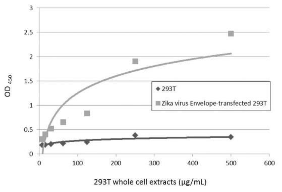 Zika Virus Envelope Protein Antibody in ELISA (ELISA)