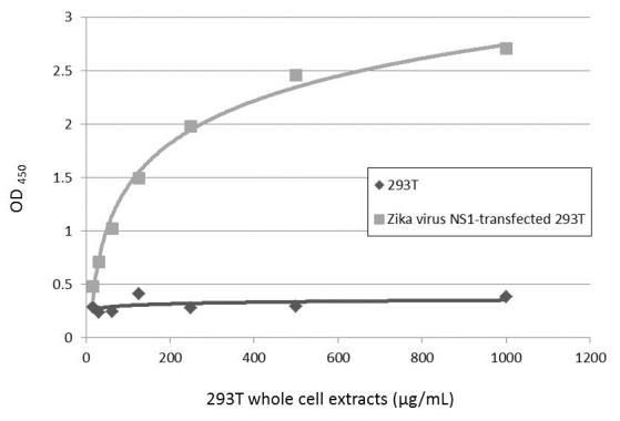 Zika Virus NS1 Antibody in ELISA (ELISA)